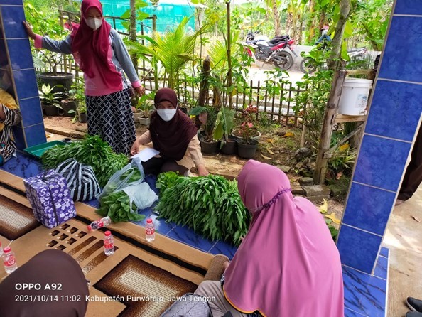 Kelompok Wanita Tani (KWT) Desa Pogung Jurutengah: Kami Butuh Pendampingan Penanganan Pasca Panen Berkelanjutan