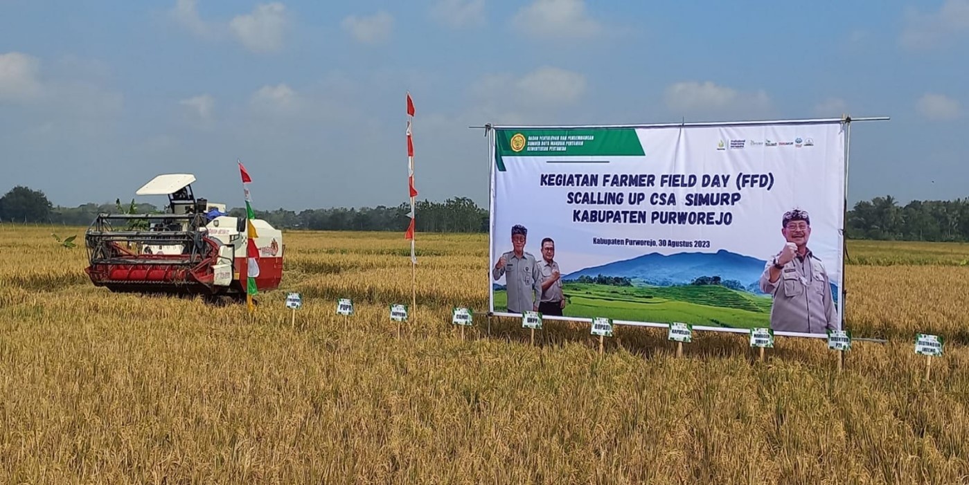 PANEN RAYA PADI SCALLING UP  PROGRAM CSA DI DESA TEGALREJO BANYUURIP